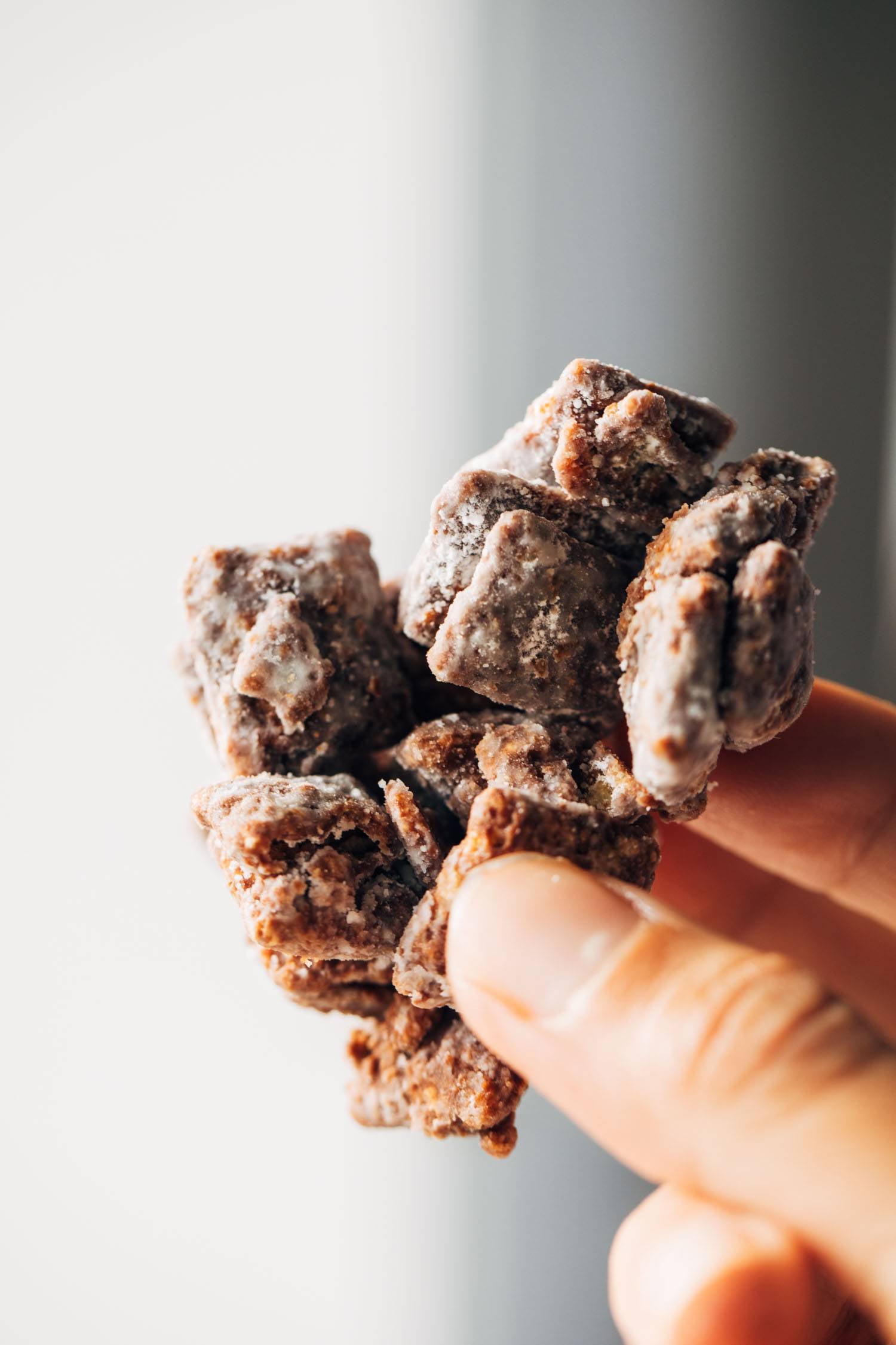 Hand holding a cluster of puppy chow.